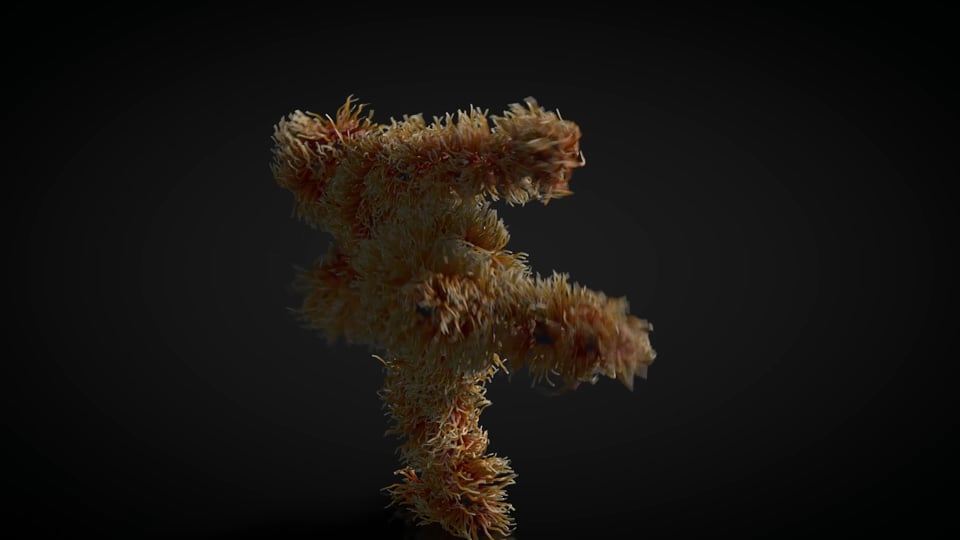 Spaghetti Monster